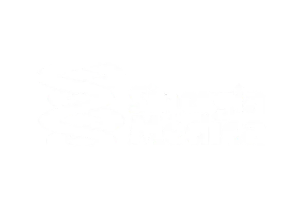 sinergia